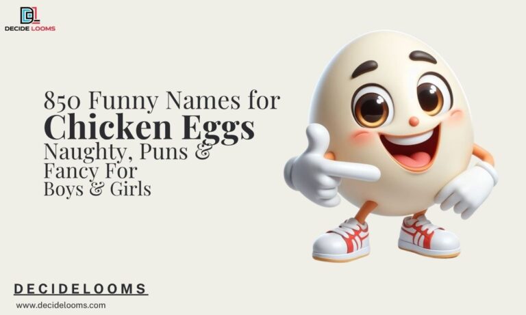 _850 Funny Names for Chicken Eggs Naughty, Puns & Fancy For Boys & Girls